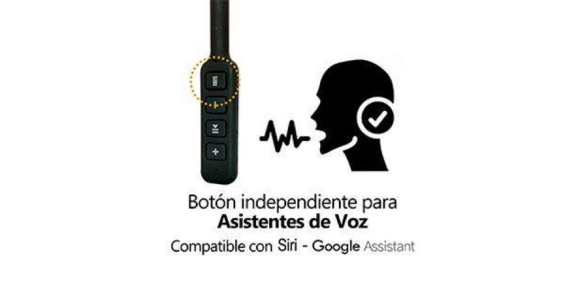 Fox BT14 Auriculares