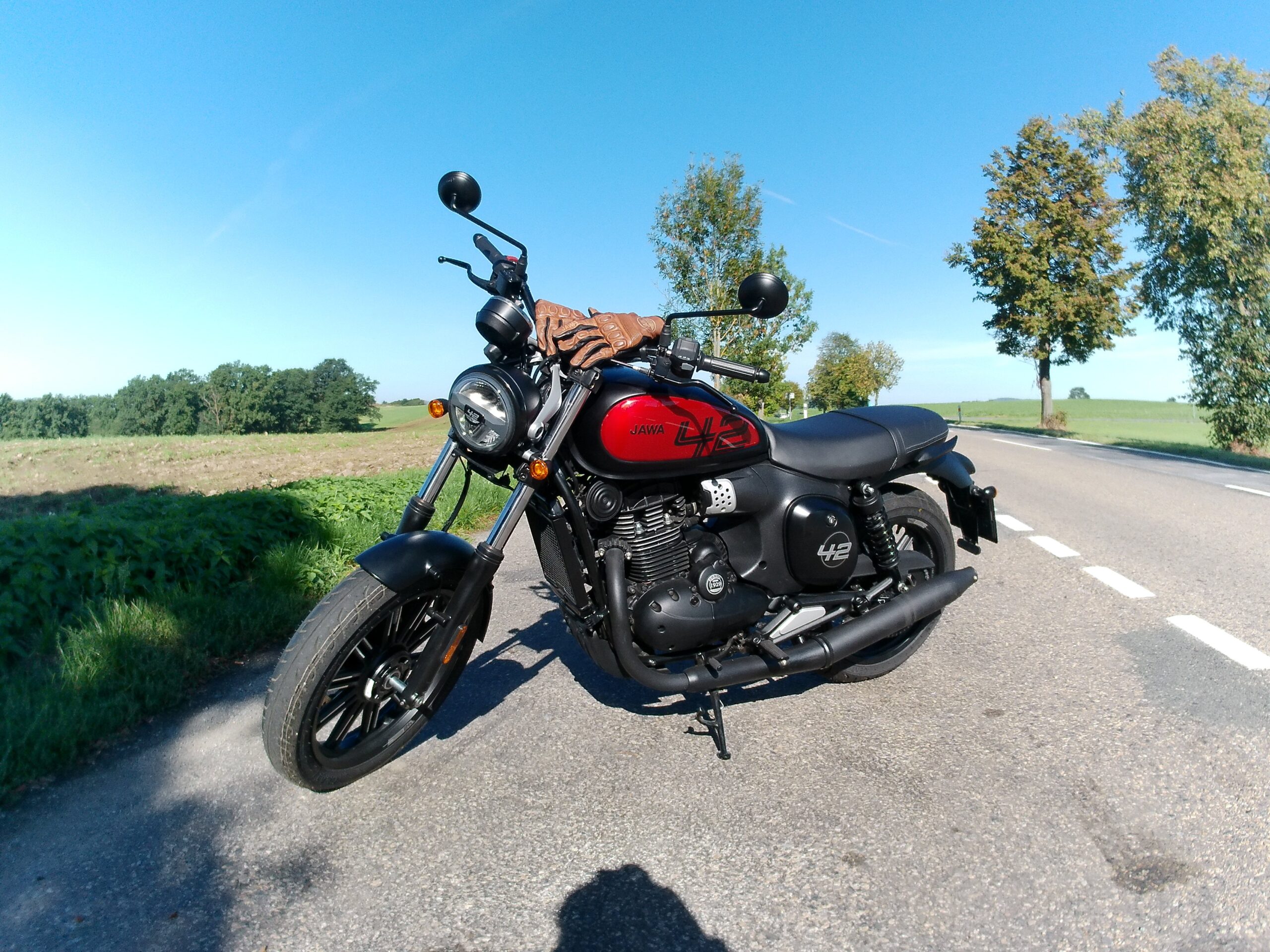Moto Jawa 350 42 FJ Moto Jawa 350 42 FJ - Imagen 6