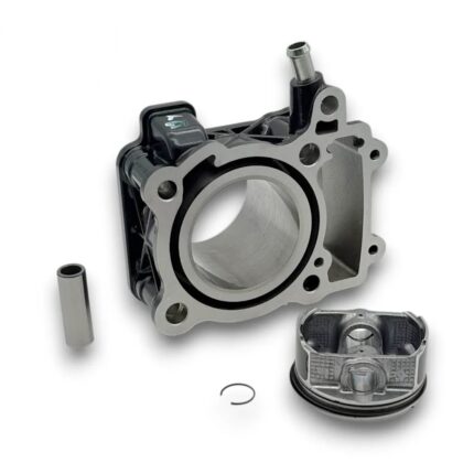 Inicio Cilindro completo Rouser Ns 200 original Bajaj