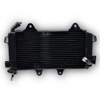Inicio Radiador KTM DUKE 200